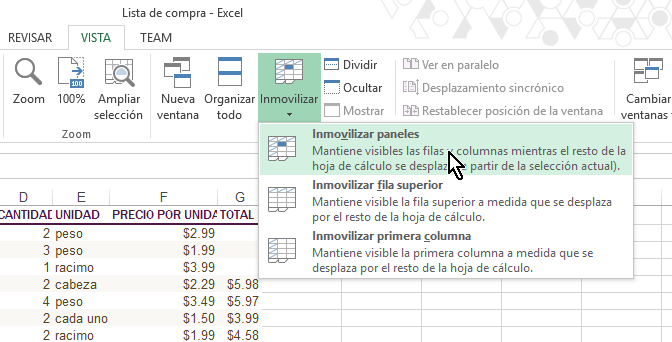Opción Inmovilizar paneles en cómo inmovilizar filas y columnas en Excel 2013