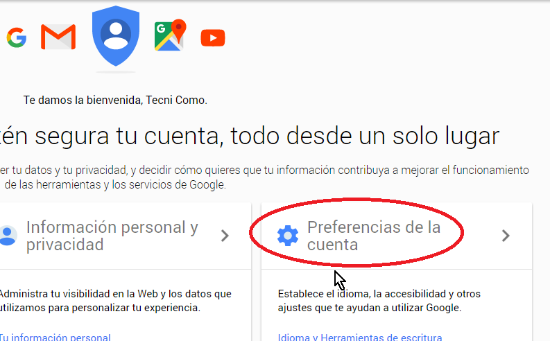 Sección Preferencias de la cuenta en cómo borrar una cuenta de Google