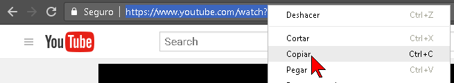 Copiando la URL del vídeo de YouTube a descargar