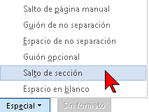 Opción Salto de sección en Word 2016