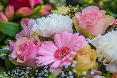 Comprar arreglos florales coloridos en Serenata Flowers