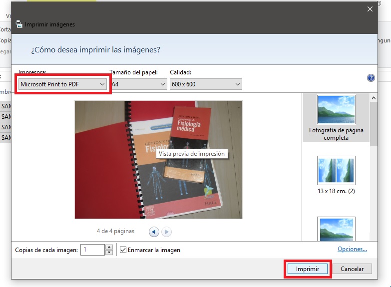 Opción de imprimir para imágenes en cómo crear fácilmente archivos PDF en Windows 10