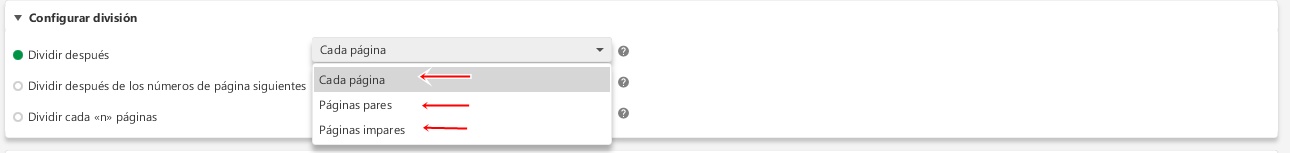 selecciona un criterio para separar archivos PDF
