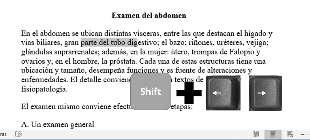 seleccionar palabras y texto usando el teclado TecniComo