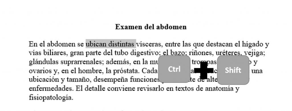 Seleccionar palabras utilizando el teclado Cntrl + Shift