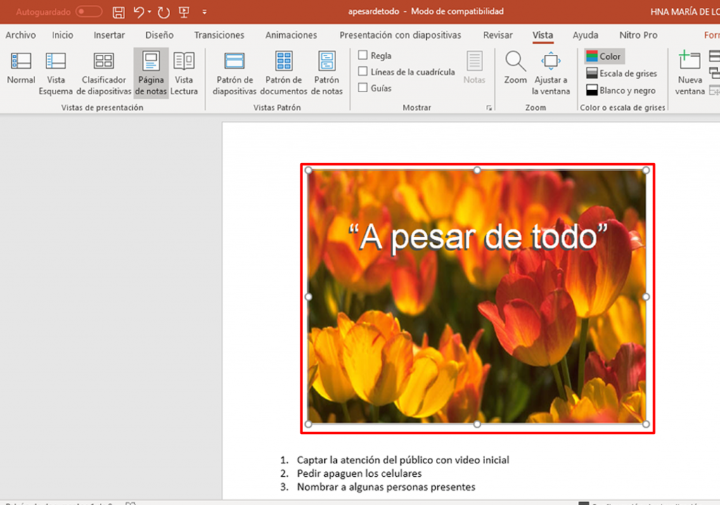 Eliminar imagen miniatura de las diapositivas en PowerPoint