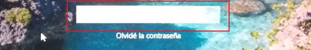 Restablecer contraseña en olvidé mi contraseña en Windows 10