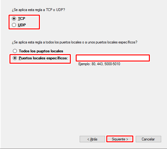 Selecciona el protocolo de la app y escribe los puertos que necesitas