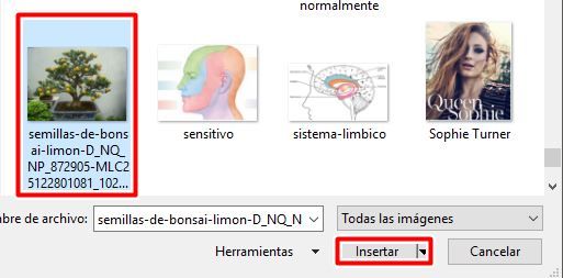 Selecciona tu imagen y haz clic en Insertar en PowerPoint