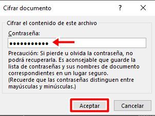 Escribe una contraseña en Excel