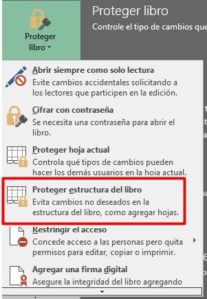 Selecciona proteger estructura del libro.